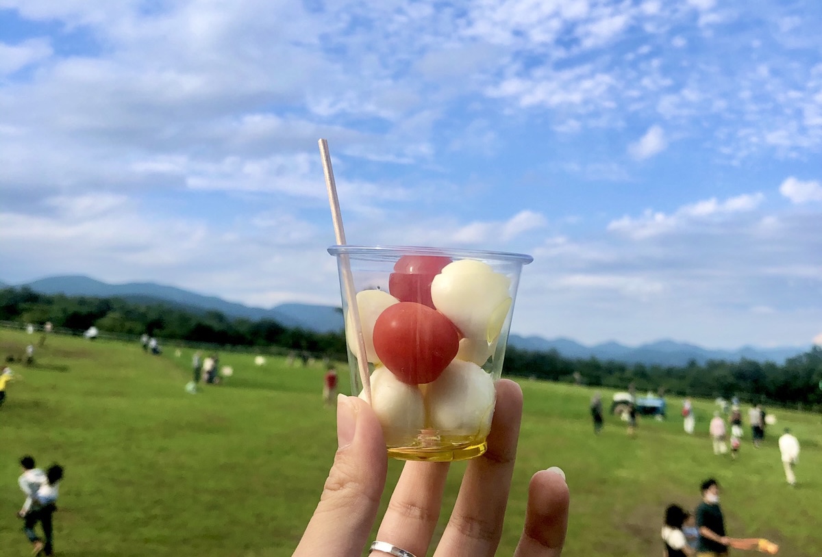 Read more about the article ハートランド行ってきました🐮