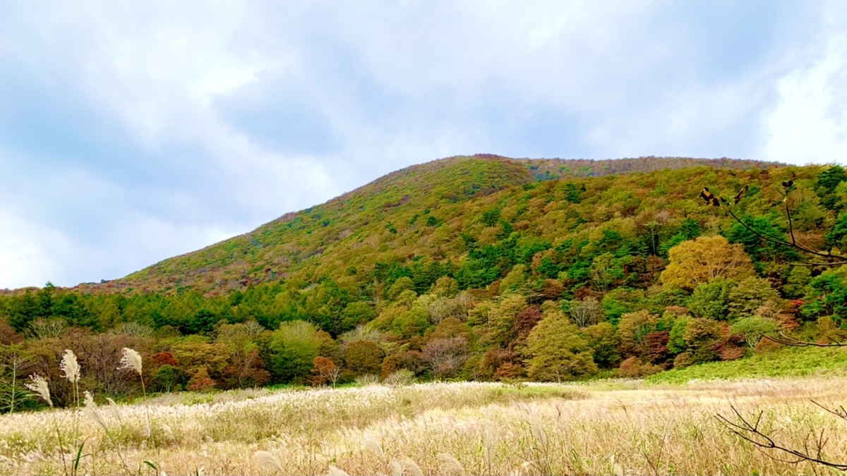 Read more about the article 山登りをしました🗻