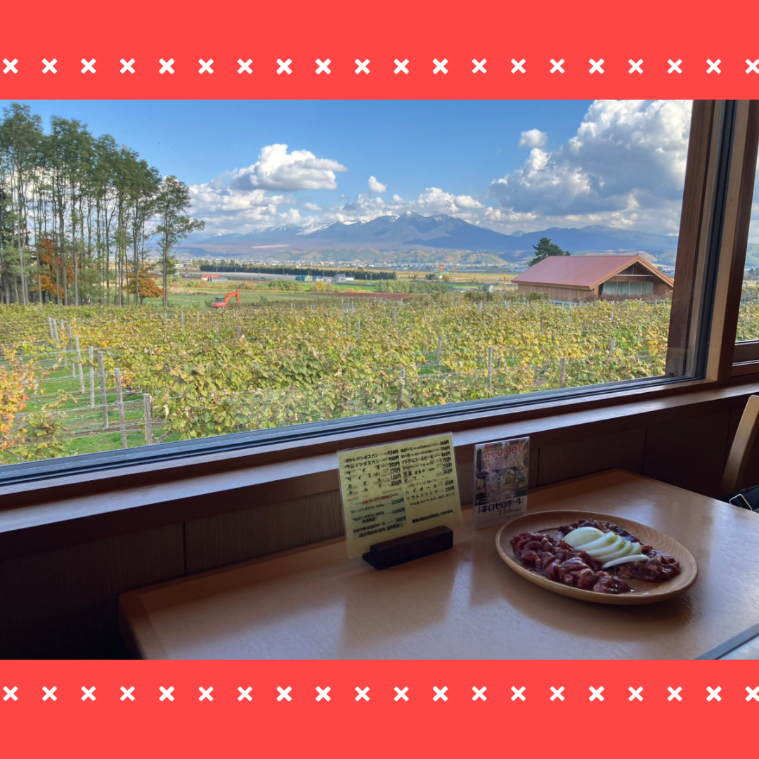 Read more about the article 5泊6日で北海道旅行🐄⛰️